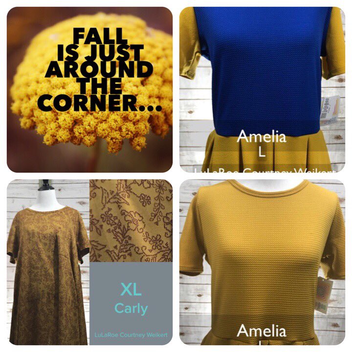 LuLaRoeCW's tweet photo. Are you ready for Fall?  I can help! #backtoschool #lularoe #lulalotus #mustard #Fall @lularoe https://t.co/FvVzYy29g2