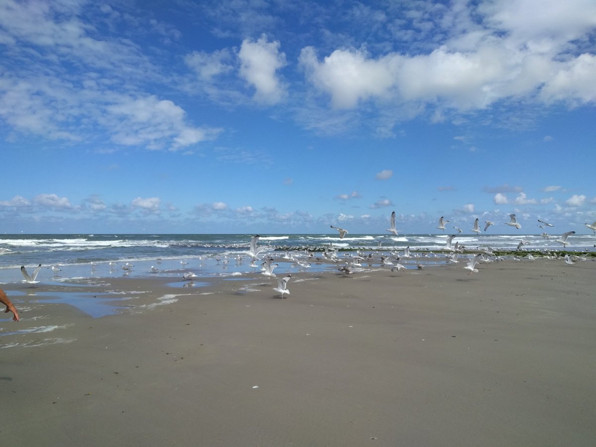westerworld's tweet photo. Van #Posthuys naar #Stortemelk, een heerlijke #strandwandeling op #Vlieland vandaag. https://t.co/48UUfrpc1o