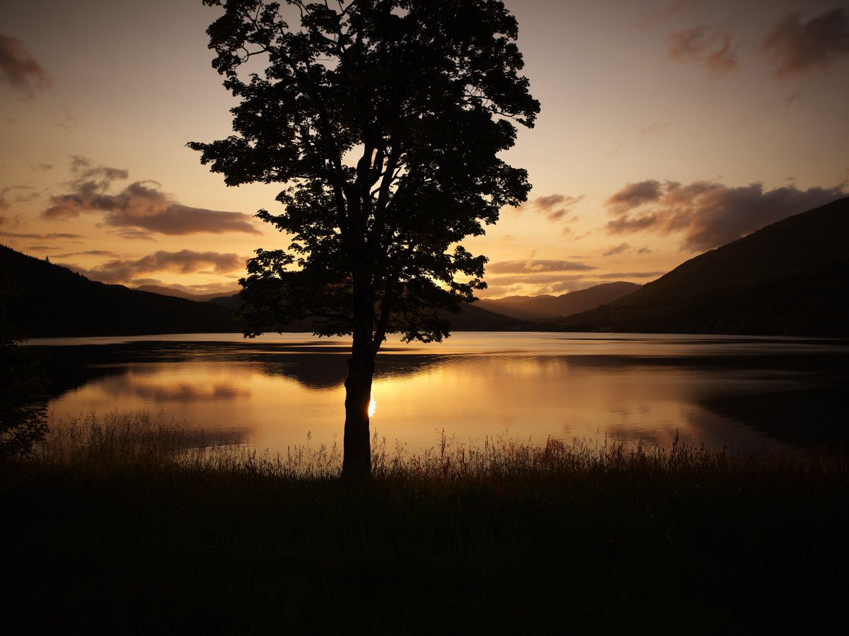 forestholidays's tweet image. #ArdgartanArgyll😍...forestholidays.co.uk/locations/scot…