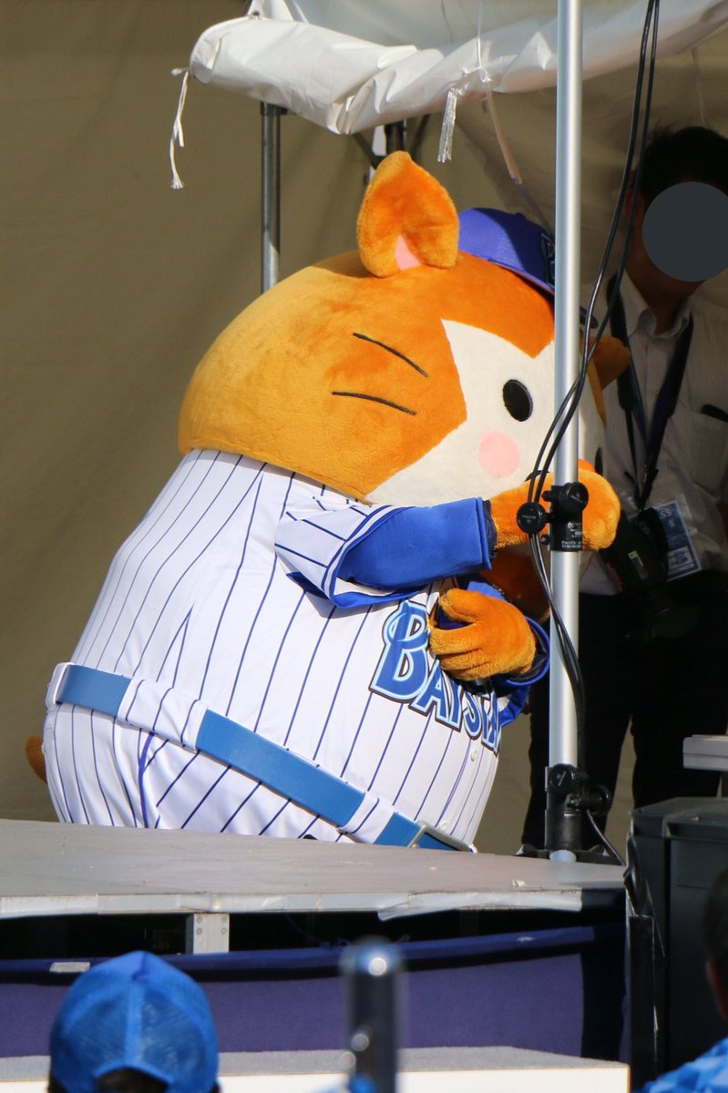 あゆむ 昨日からスターマンさん気になってたんだが シューってしてて オシャレなハムスターはデオドラントスプレー いや 冷却スプレーぽいぽい 笑 暑いから対策はしっかりとよねぇー スターマン 熱中症対策はしっかりと