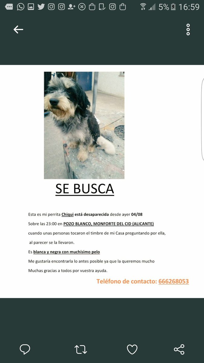 PaatriciaMira's tweet photo. Porfaaaaaa necesito muchos rt's porque cuanta más gente vea esto más posibilidades tendré de encontrarla💬😣😔😷😢😭 https://t.co/P9XIGL3AJn
