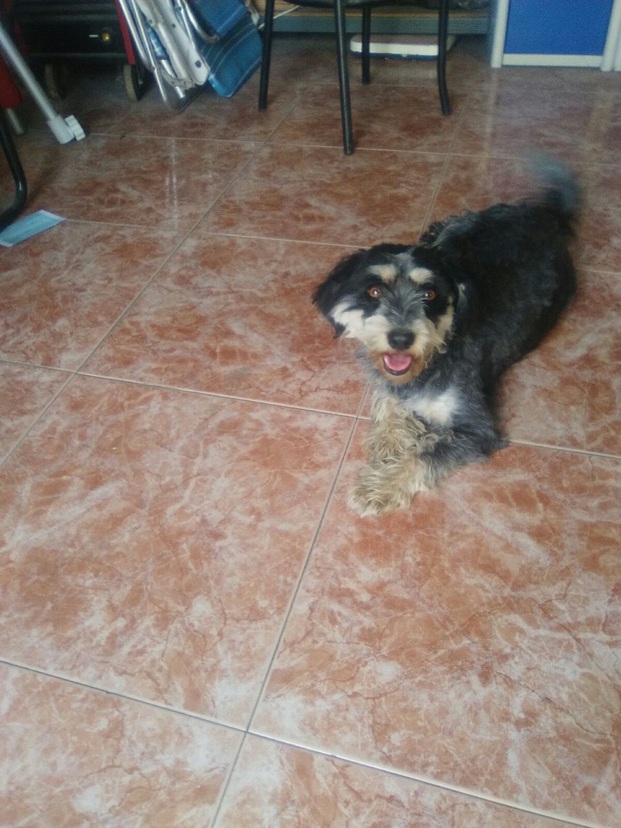 PaatriciaMira's tweet photo. Porfaaaaaa necesito muchos rt's porque cuanta más gente vea esto más posibilidades tendré de encontrarla💬😣😔😷😢😭 https://t.co/P9XIGL3AJn