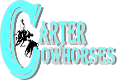 TharRanchProd's tweet photo. 33 days til Fizz Bomb Classic​ 9/7-10/17 Carter Cow Horses
#fizzbomb #barrelracing #horse #camplex #gillette https://t.co/GmhRRoYlO6