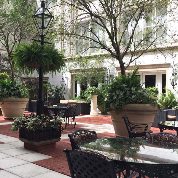 katiegoesthere's tweet photo. Ritz Carlton New Orleans Review and how to stay there on points! https://t.co/PDhVyDHjom #ritzcarlton #neworleans #marriottpoints https://t.co/VjggeBpSQU