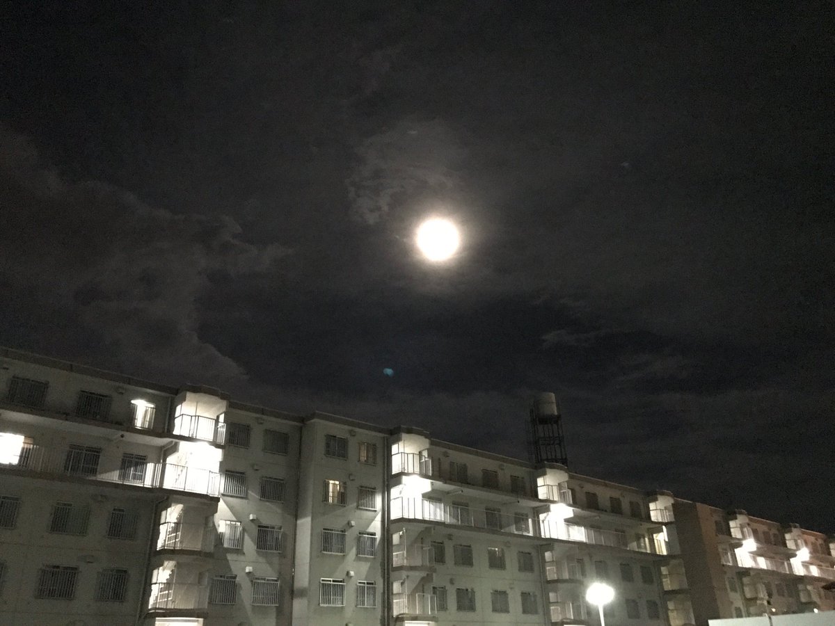 O Xrhsths Uncle Zoku Sto Twitter 夜になって 家に帰る 風に吹かれ しみる月の光 にじむ団地の灯 夜の間 しゃがみこんで エレベーター 自分の身を隠す 悲しい気持ちする