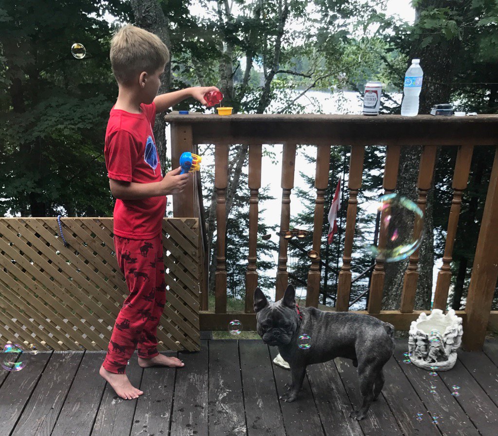 askjillian's tweet photo. #Kids #Dogs 🐶 #MolsonBeer #CottageLife https://t.co/iGEX478Vm8