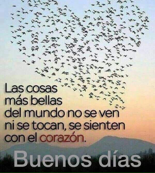 ChedyG's tweet photo. @gergarcia17  que tengas un día lleno de bendiciones te AMAMOS mucho https://t.co/1InUZjG6dl