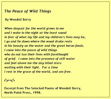 \"What I stand for is what I stand on.\"
Happy Birthday Wendell Berry!  Thanks for the many gifts you ve given us! 