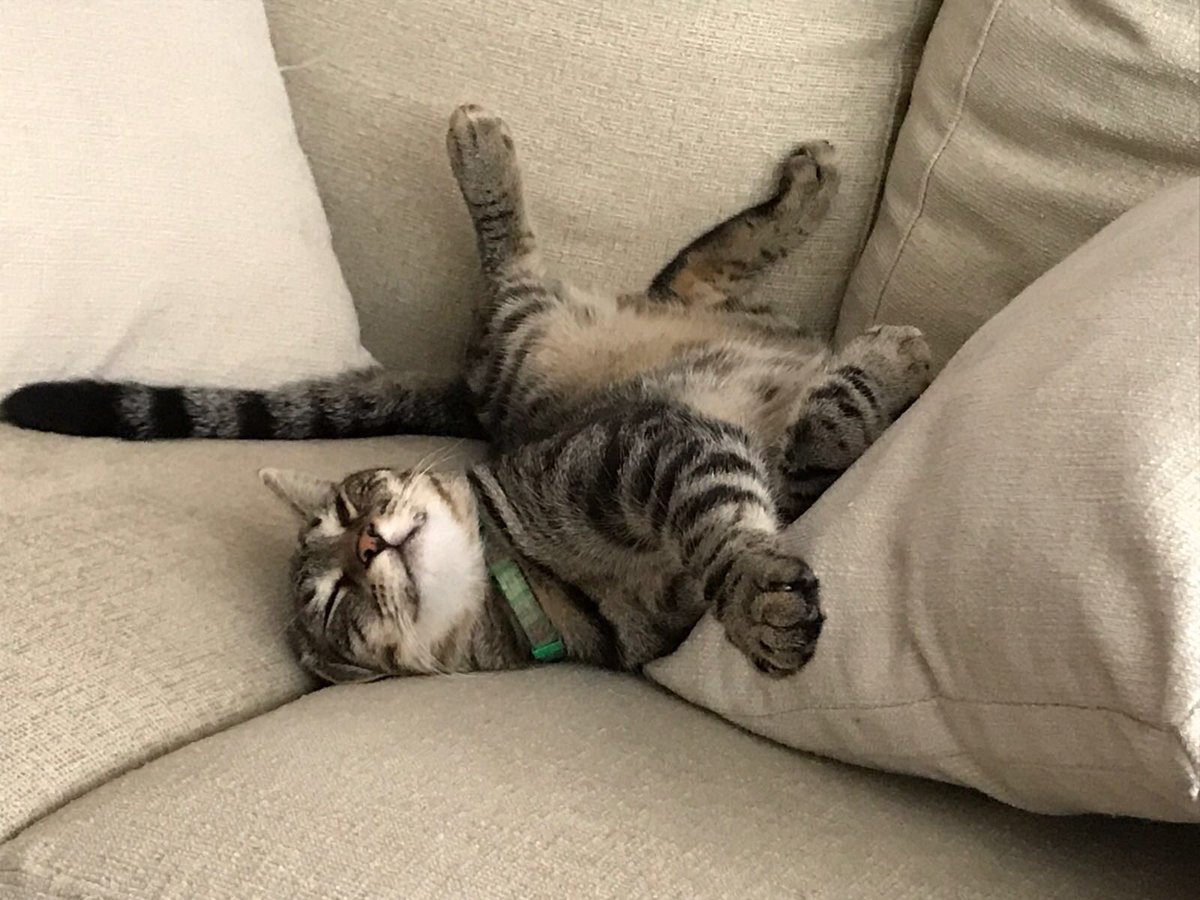 nigel walker tweet media