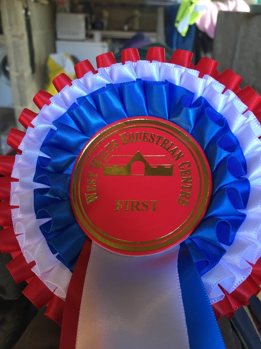 #winnerwinnerchickendinner Cody did good! #exracehorse #dressagediva