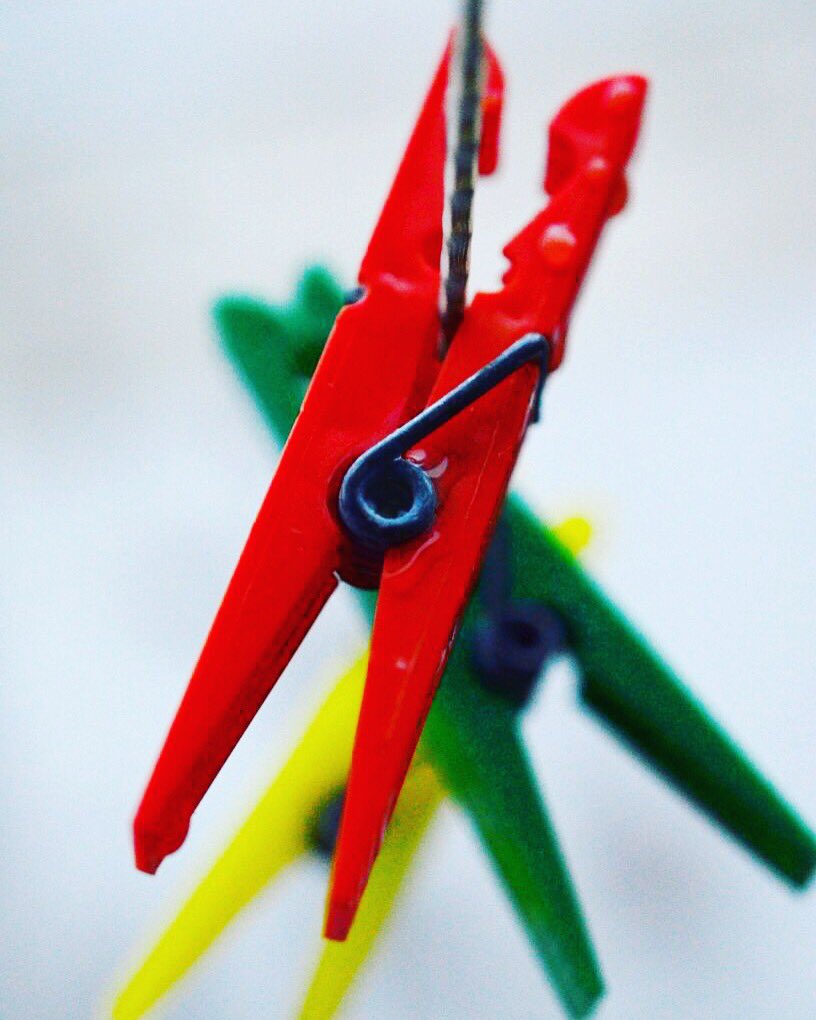Freeze_Click's tweet photo. When being #random is fun! #creativity #diversity #randompics #divergent @cullen_kiama @RariteEffie @Floriako @JamilaMohamed @michelleliz54 https://t.co/mE3YwY8Olq