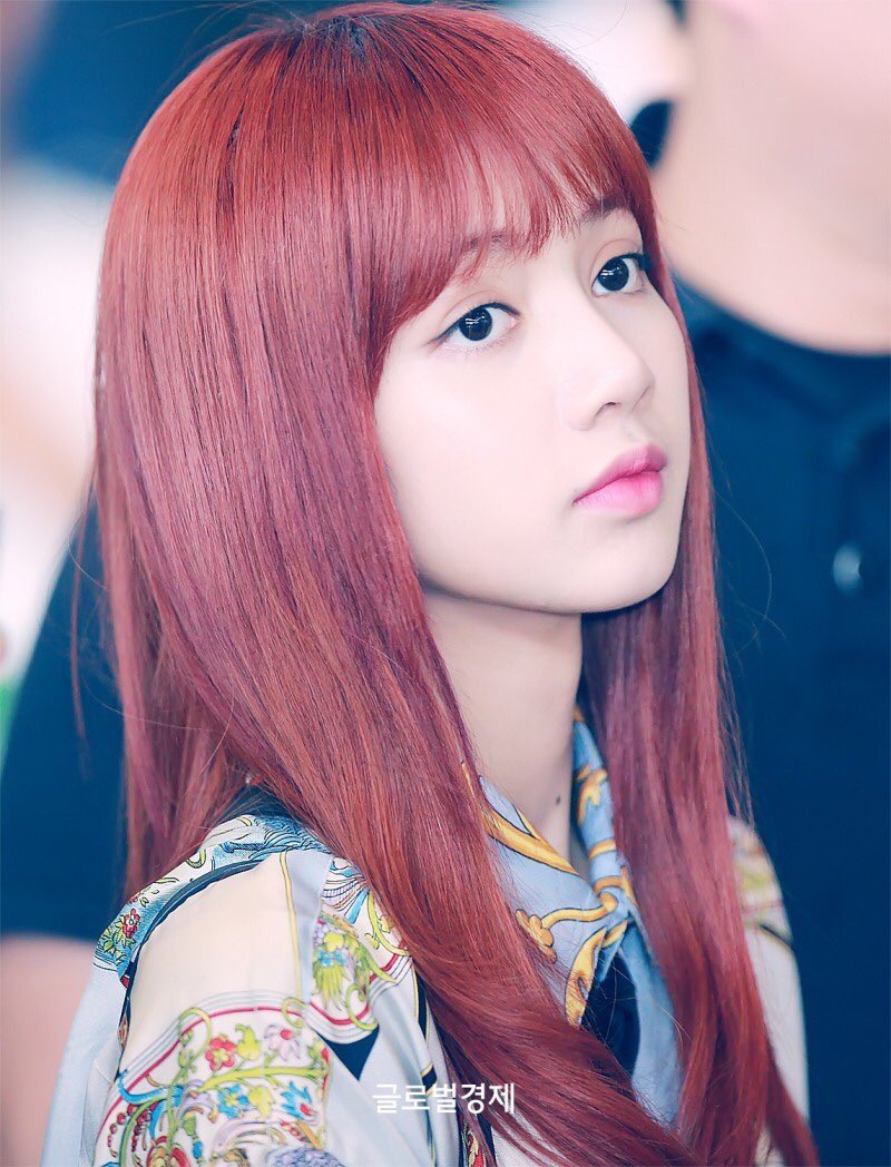LALISTHAILAND's tweet photo. The little mermaid 💜💜

ㅡ170805 ✈️🇯🇵 
[Press]
#LISA #BLACKPINK https://t.co/JevH1wlBel