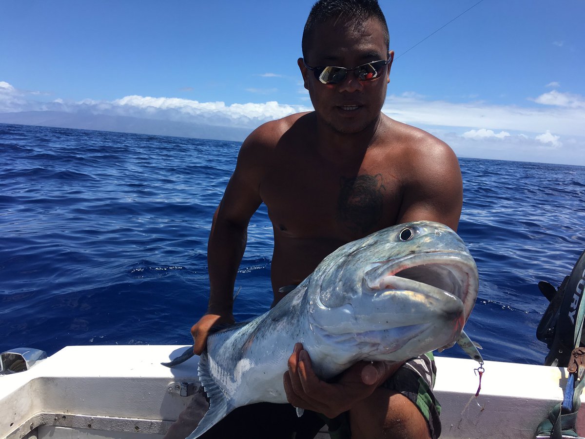 UltimateAddict1's tweet image. Caught this fish from a major craft jigging pole.