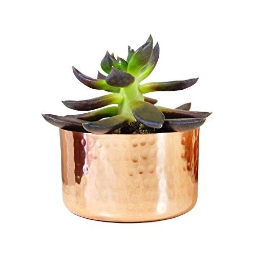 HandmadePreneur's tweet photo. Bargain Furniture Here!
https://t.co/djyibUOSjl
#Home #homedecore #rustick #Defstar5 #mpgvip https://t.co/2V41qjDH8i