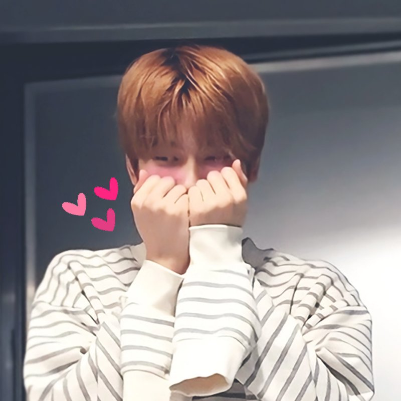 라벤더 보이 tweet media