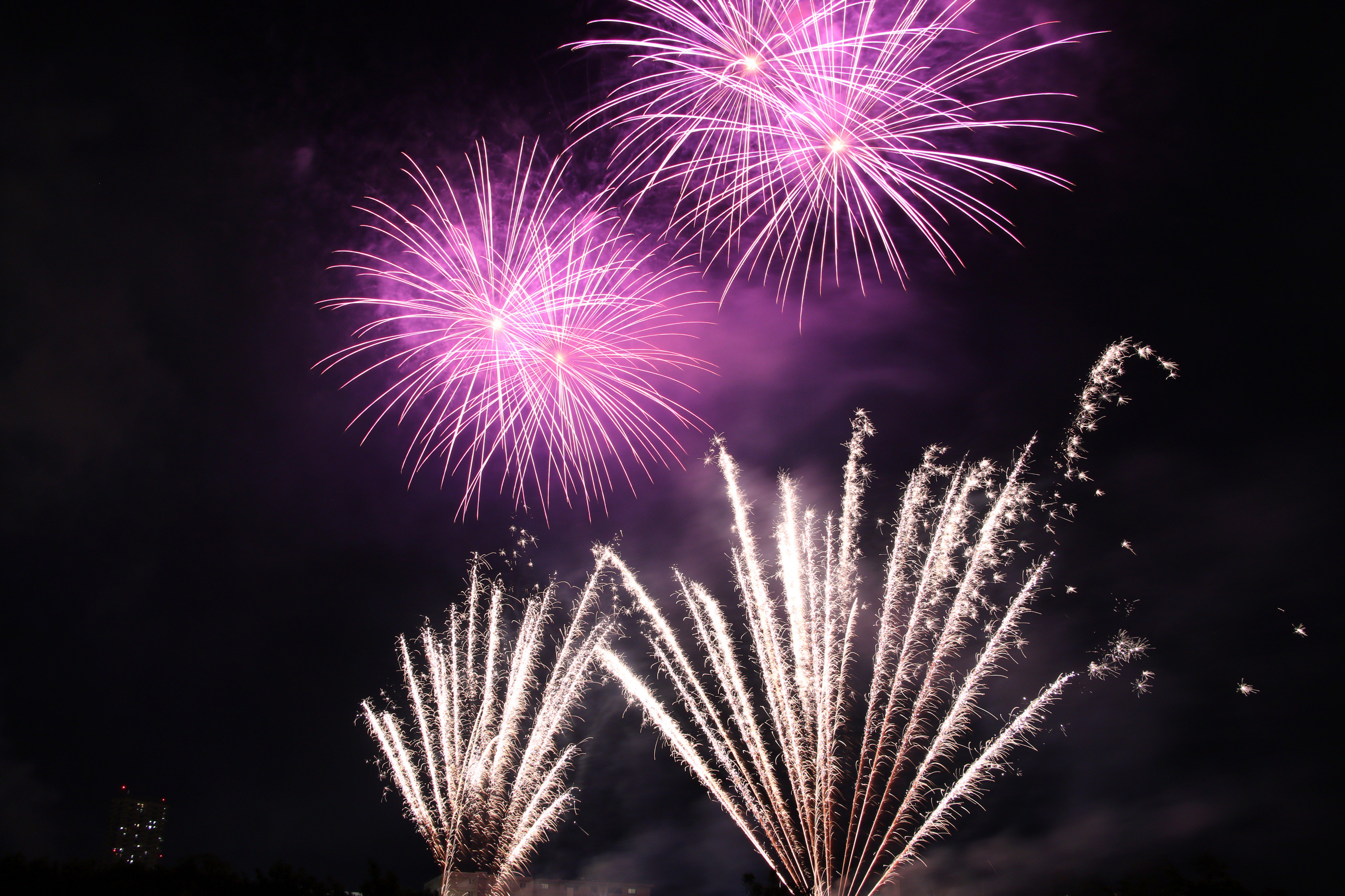 福井花火 Twitter Search Twitter