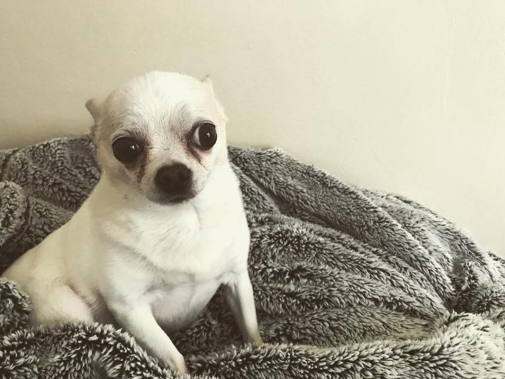 tinyinstruments's tweet image. Lil guy tnynstrmnts.com/2017/08/05/lil…