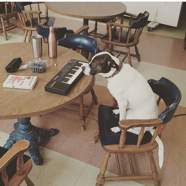 iAMCoop317's tweet image. #itool is open for service today at @kheprw from 12-3. @ihaveasicksixthsense ift.tt/2vAhyu2