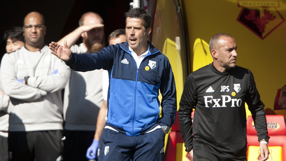 Watford Football Club tweet media