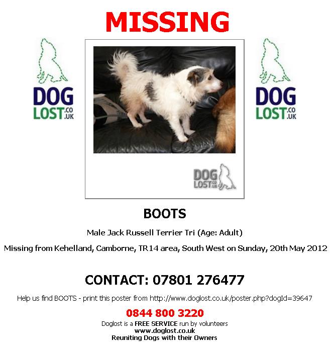 FindOurPup's tweet photo. Boots Tri coloured Jack Russell Vanished #Kehelland area #Camborne 20/05/12 Chipped #CornwallsMissing https://t.co/tMI1yiOcxh