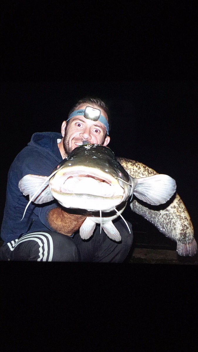 FrancoisPervis's tweet photo. Fish du soir bonsoir 😁 #silure #catfish #beaucombat https://t.co/1qINthpFmI