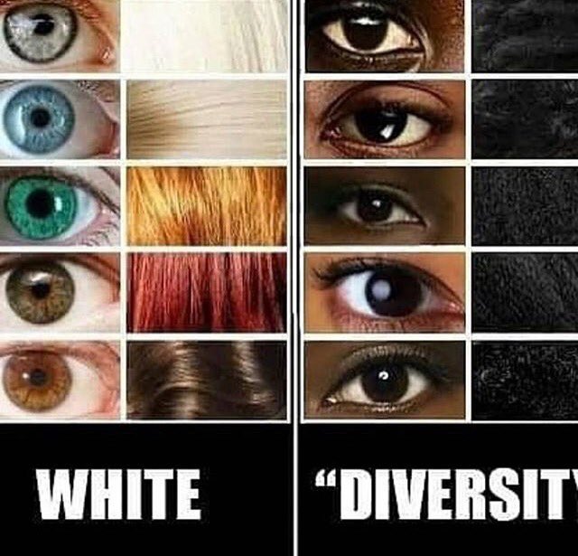 nuchnar's tweet photo. #multiculturalismdoesntwork #whitegenocide https://t.co/IXCDZqKrGj