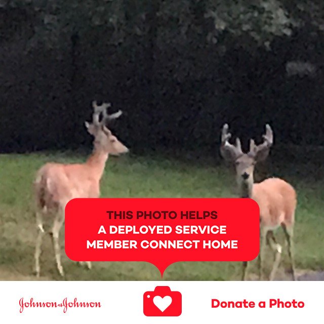 GroveAyers's tweet photo. Some #stepsforsoldiers to help @the_uso connect service families. Thanks to @charitymiles #jnj @donateaphoto https://t.co/H7qefuQ9Ec https://t.co/JKe2gDkFO0