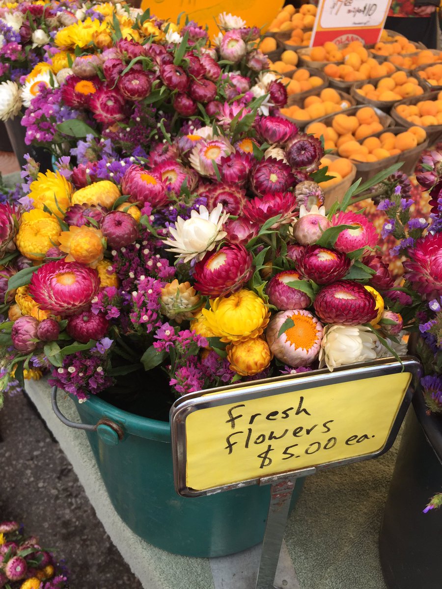 tinalovespinot's tweet photo. Roadtrip great morning at St Jacobs @stjacobsmarket @always_ashaw #hellopeaches https://t.co/9xrVEYmXAo