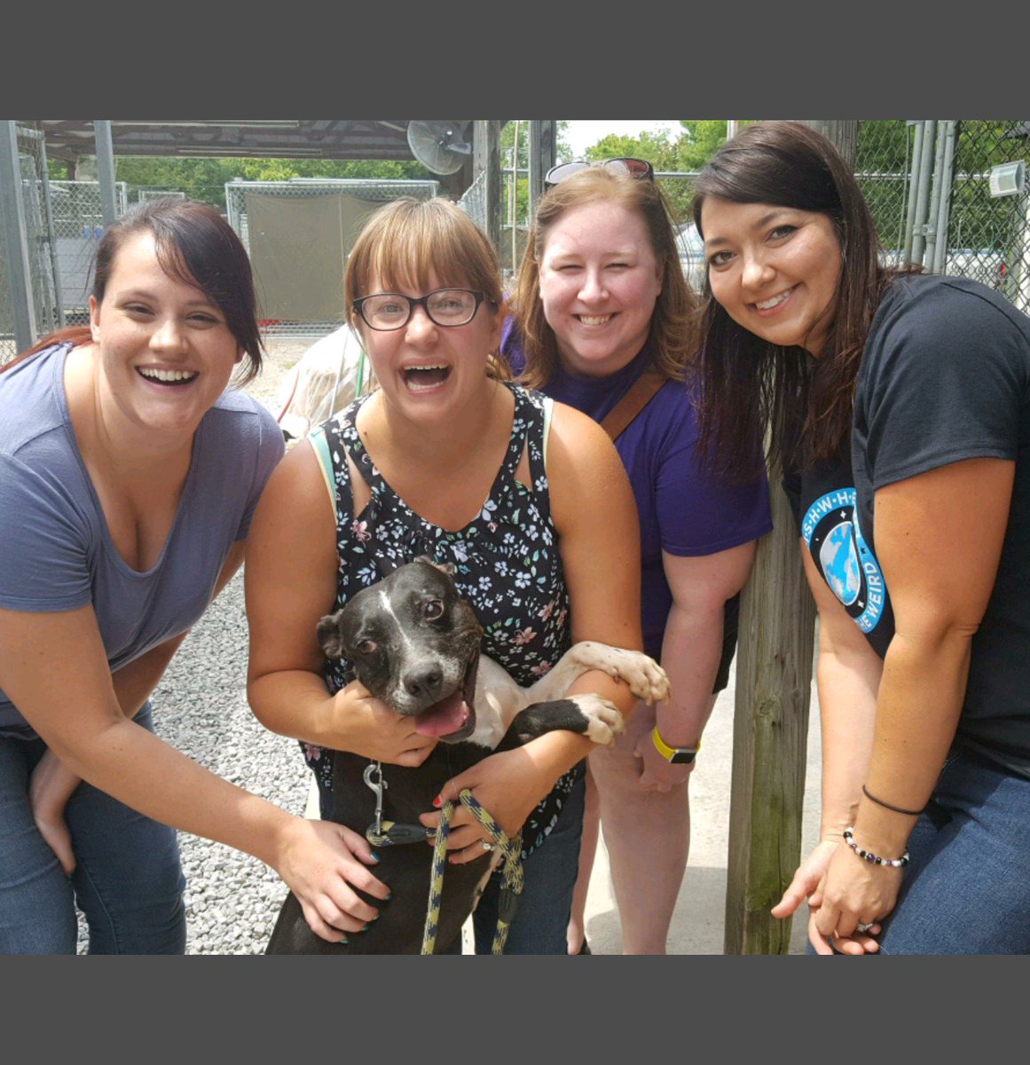 RachiB84's tweet photo. @NewLeashUSA  #adoptmeplease @Stfranciscare On behalf of GISHWHES &amp; The Indecisives, meet Ania!!! 🐕🐾🌎 https://t.co/W6DGdFW2Yg