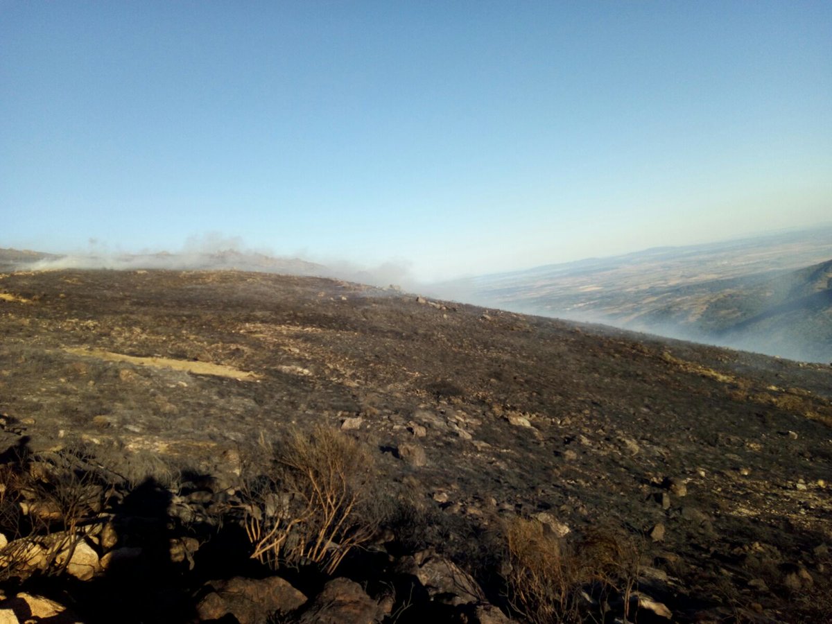 AT_Brif's tweet photo. 21:30.@BrifPINO en base después de actuar en #IFAcebo en Sierra de Gata #Caceres. #BRIF #25AñosBRIF https://t.co/x0OALbwKx7