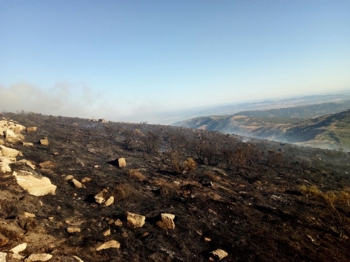 AT_Brif's tweet photo. 21:30.@BrifPINO en base después de actuar en #IFAcebo en Sierra de Gata #Caceres. #BRIF #25AñosBRIF https://t.co/x0OALbwKx7