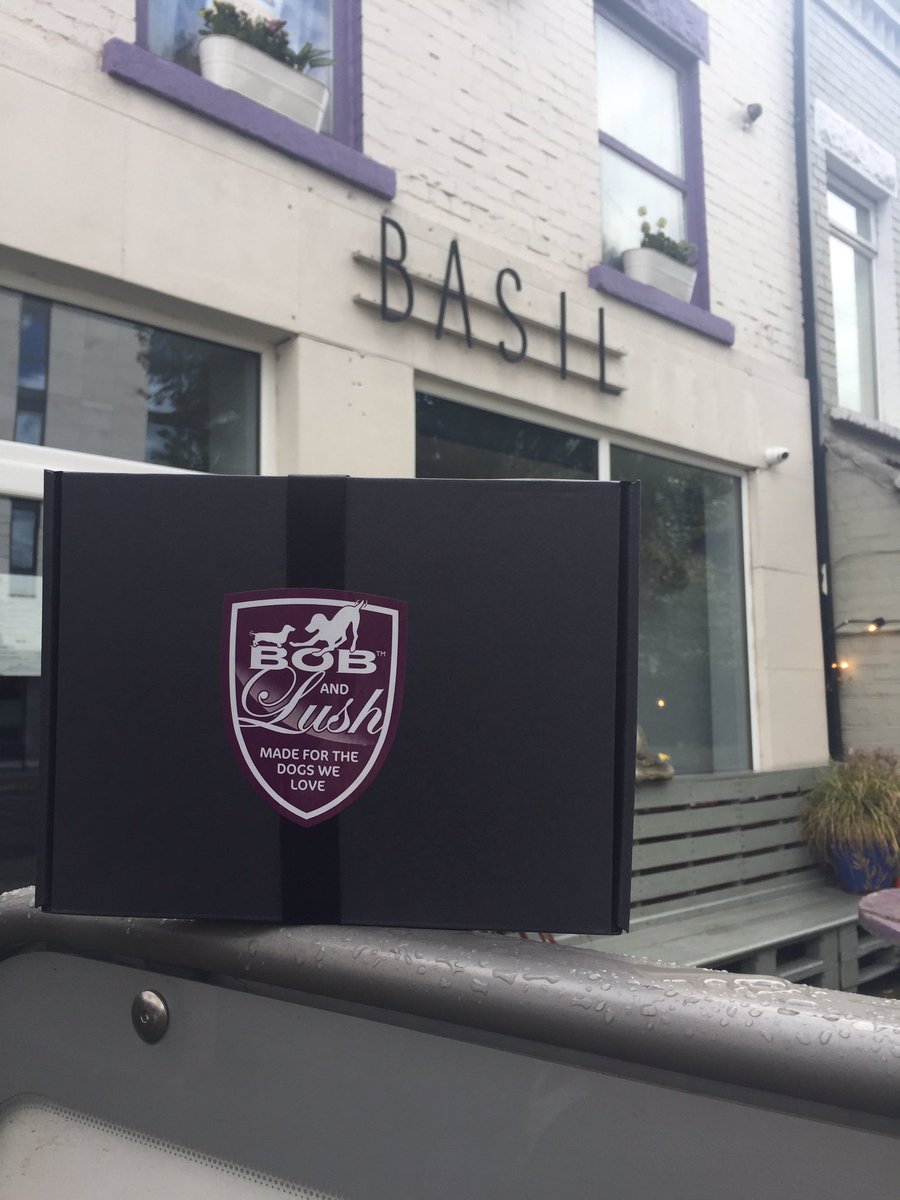 Basil_Pizza's tweet photo. Hey doggy customers!!!we have some yummy free gifts for you next time you visit us!! https://t.co/a4OOcZbfSC