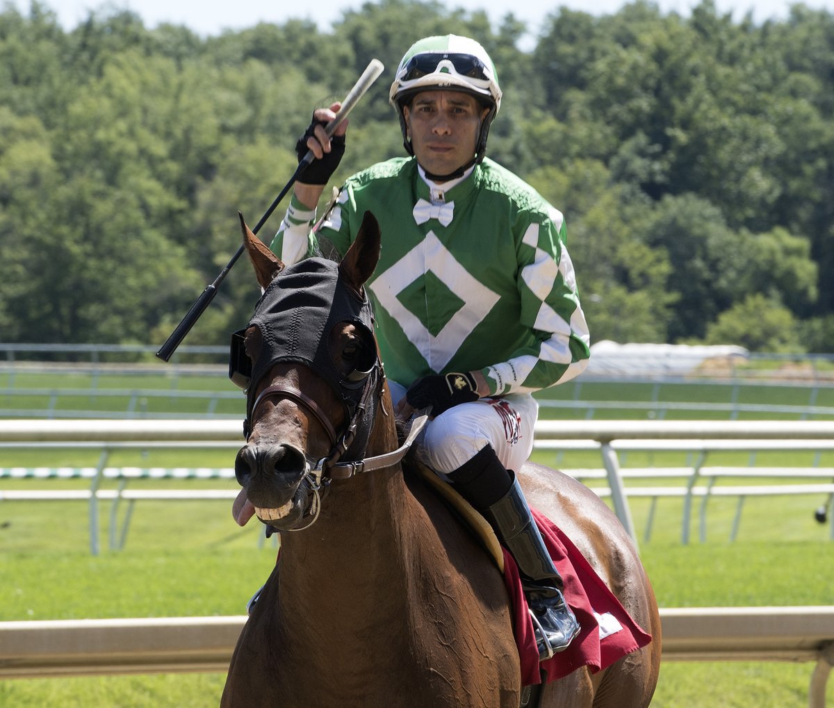 FionaCraig00's tweet photo. Brilliant 8L win for Bert & Diana Firestone's home bred #SpecialEnvoy #HanselS. @LaurelPark @delacour_arnaud @MulcahyGeoff #FamousColours https://t.co/6Naw3PgPDE