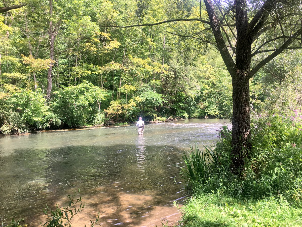 Scoping out the holes along sunny #springcreek #fishpa #wildtrout #catchandrelease #troutfishing #flyfishing