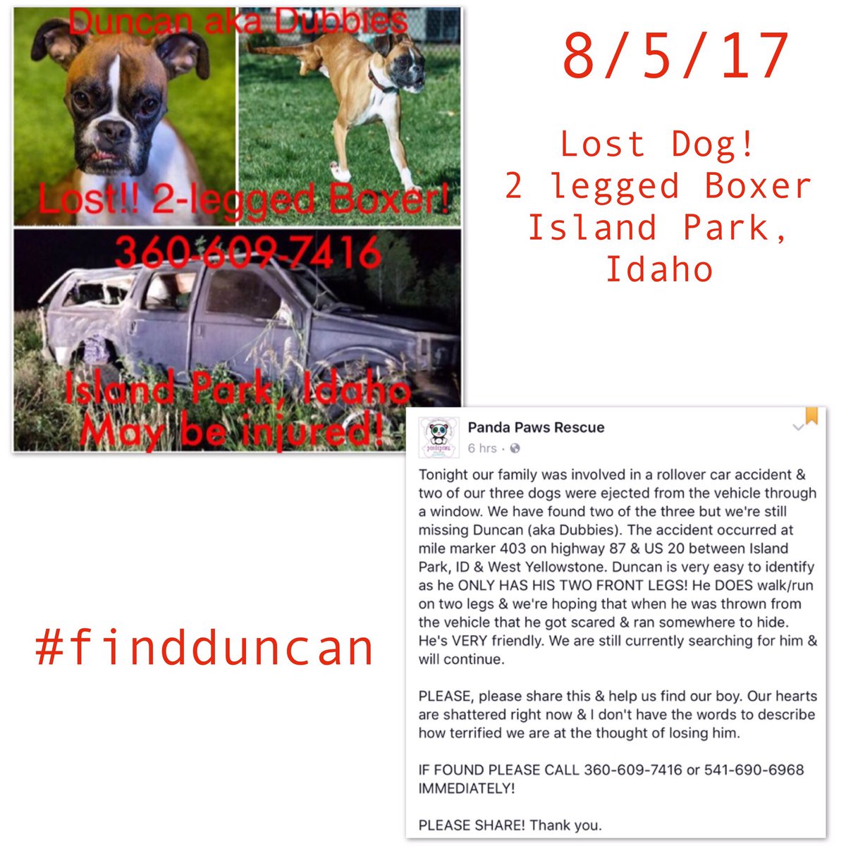 Chrissannthemum's tweet photo. @gofundme for Duncan the lost Boxer. Search team, RV sent for family. Please donate if you can &amp; share! https://t.co/FddWrLFpTr #findduncan https://t.co/BJ5viwKlDY