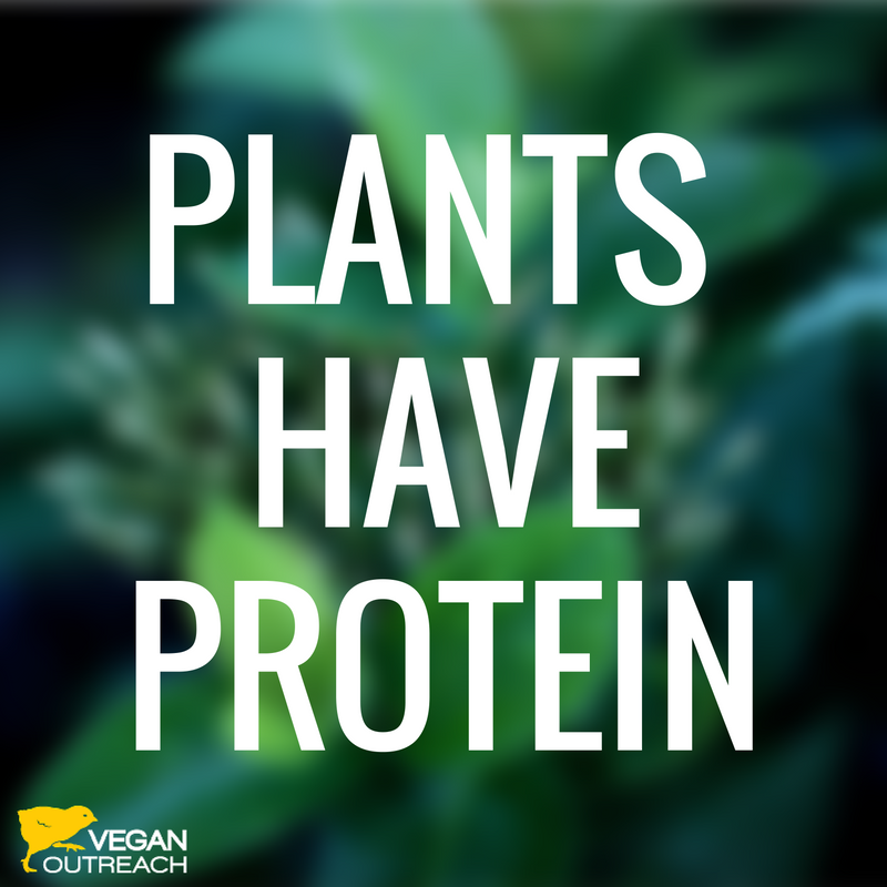 veganoutreach's tweet photo. A friendly reminder! https://t.co/DAOKlrR8XN