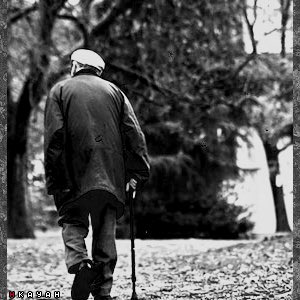 كبار السن: ماأحوجهم 
للحب والحنان والرفق والرحمة
فقلوبهم جريحة وفي نفوسهم 
غصات فهنيئا لمن مسح دمعة
أحزانهم وكَدَرَ نفوسهم.