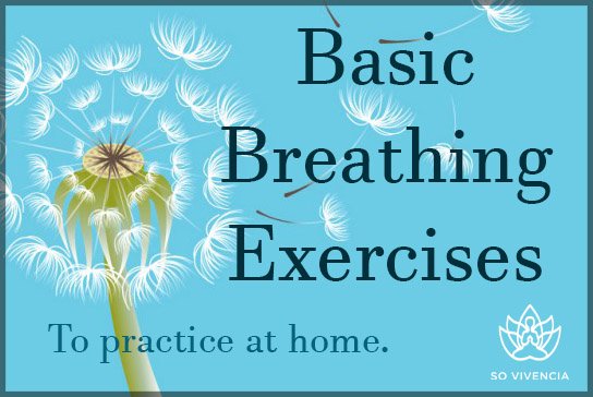 New Blog Post: Learn basic breathing techniques to efficiently relax!
sovivencia.com/basic-breathin… …
#relaxation #meditation #stressmanagement