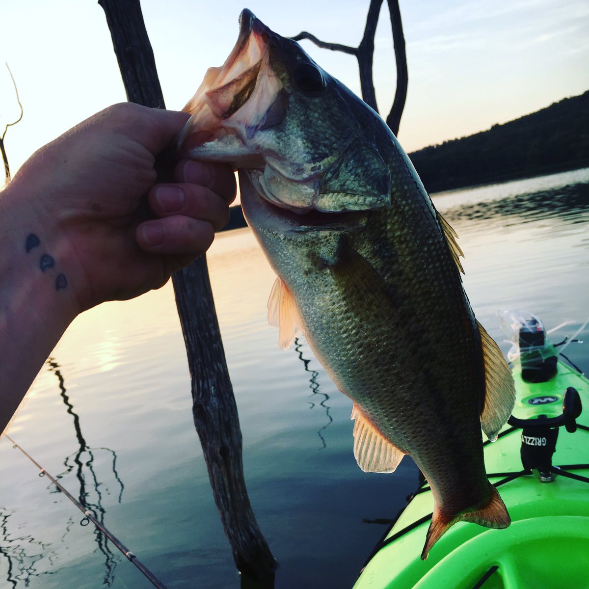 Cory Eubanks (@cscotteubanks) on Twitter photo 