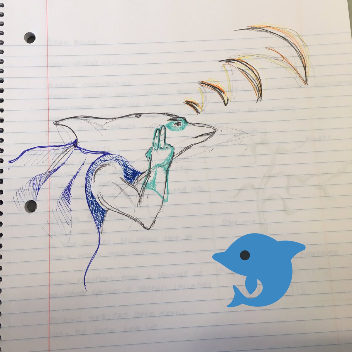 juliettedraws's tweet photo. Dolphins use echolocation to "see" in the ocean!!!!! https://t.co/Cg84inFup6