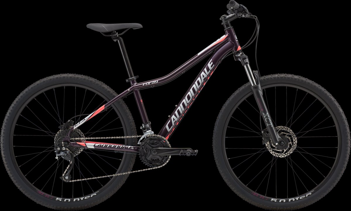 djs bike world