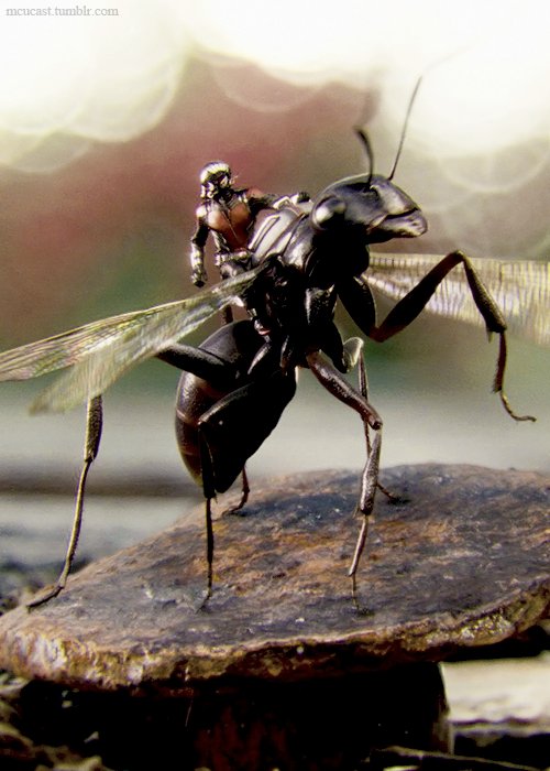 ❝ Mʏ ᴅᴀʏs ᴏғ ʙʀᴇᴀᴋɪɴɢ ɪɴᴛᴏ ᴘʟᴀᴄᴇs ᴀɴᴅ sᴛᴇᴀʟɪɴɢ sʜɪᴛ ᴀʀᴇ ᴅᴏɴᴇ. ❞

「Ａｎｔ－Ｍａｎ」
「Sᴄᴏᴛᴛ Lᴀɴɢ」