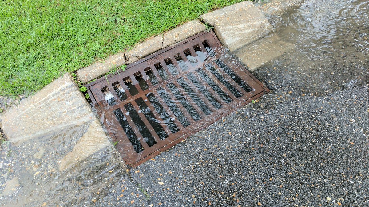 Chris Botto tweet media