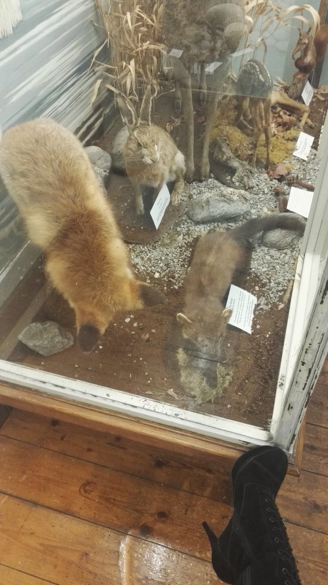 ak_benedict's tweet photo. The scandalised inhabitants of Bute Museum watch The Slice Girls dress for tonight's gig #butemuseum @ButeNoir #ButeNoir @TheSliceGirlsUK https://t.co/Th9oSbs0Pz