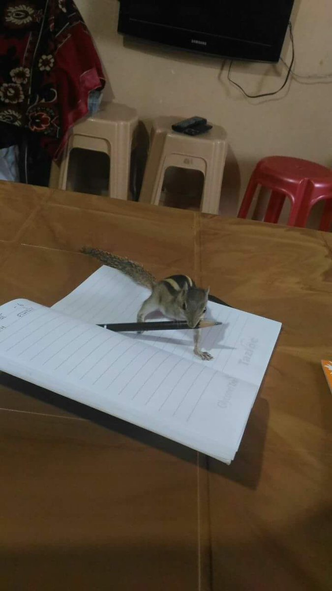 SarithaPrakash3's tweet image. ಬನ್ನಿ ...ಗೋ ಮಾತೆಯನ್ನು ಉಳಿಸಲು  #ಅಭಯಾಕ್ಷರ ದಲ್ಲಿ ಅಳಿಲು ಸೇವೆ ಮಾಡೋಣ!!!