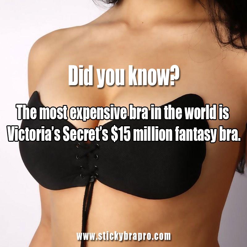 Top Most expensive Bra in the world