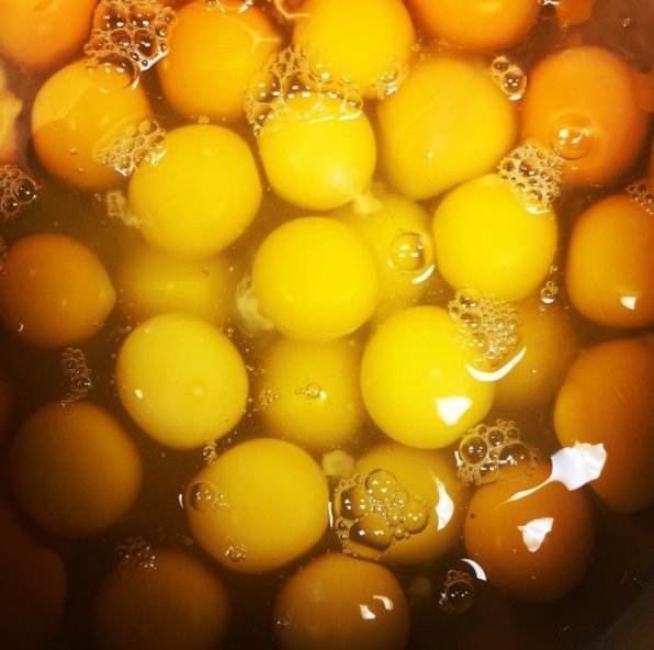 StrongRootsProv's tweet photo. The girls at #gilliardfarms have been working hard to make #SunBrunch at @farmerandlarder delicious & fresh! Join us tom from 11-2 to taste! https://t.co/d4nN0YxpRt