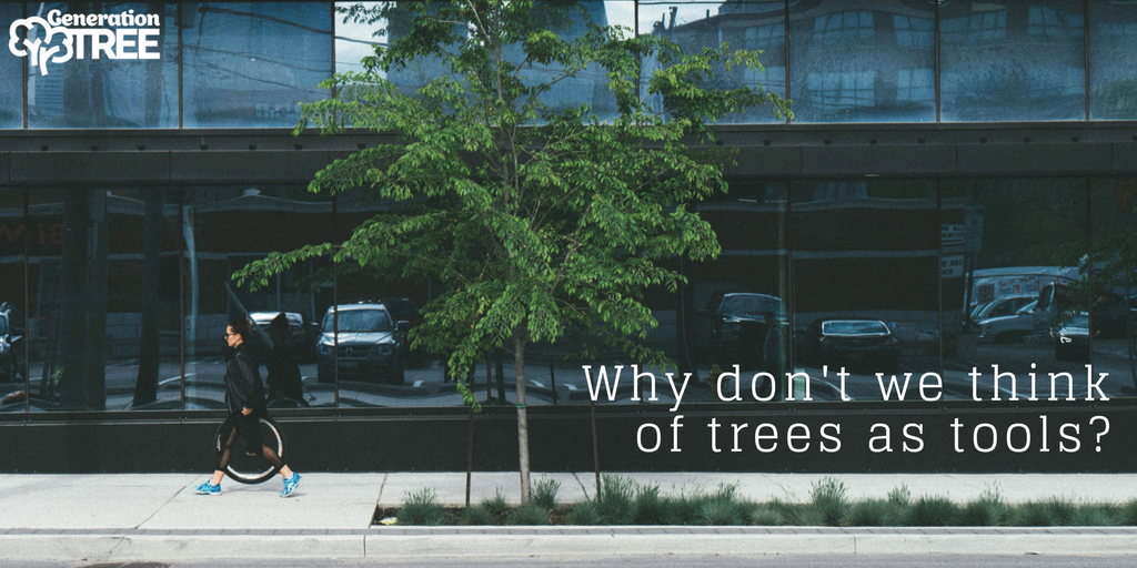 MyGenTree's tweet photo. Why don't we think of #trees as #publichealth tools? #CoolerCities #ClimateChange Β https://t.co/fk8eNsfvjJ) https://t.co/ASOJaGgIzU