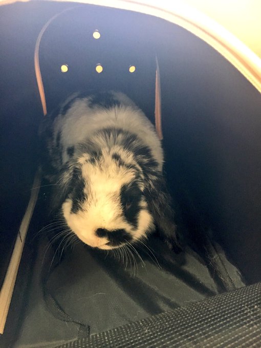 Twitterのコスプレ画像52