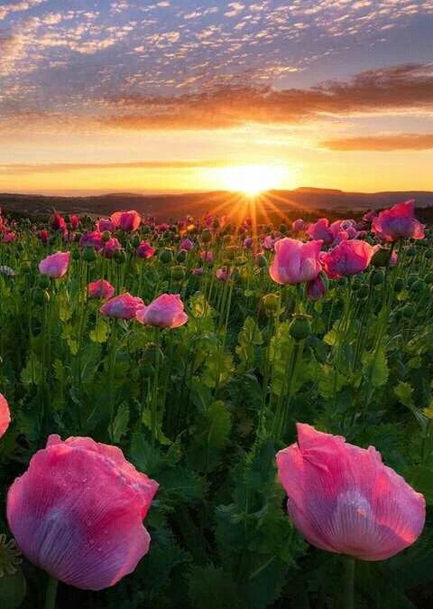 #bomfds #TimBetaAjudaTimBeta #TimBeta